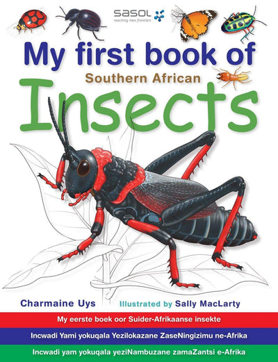 My First Book Of Southern African Insects - Readers Warehouse