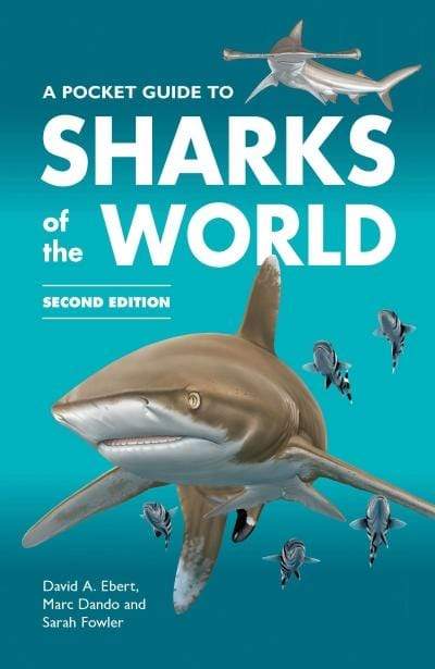 A Pocket Guide To Sharks Of The World - Readers Warehouse