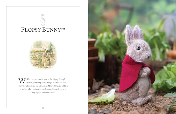 Knitting Peter Rabbit - Readers Warehouse