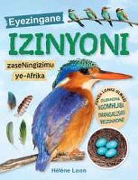 Izinyoni Zaseningizimu Ye Afrika (IsiZulu) - Readers Warehouse