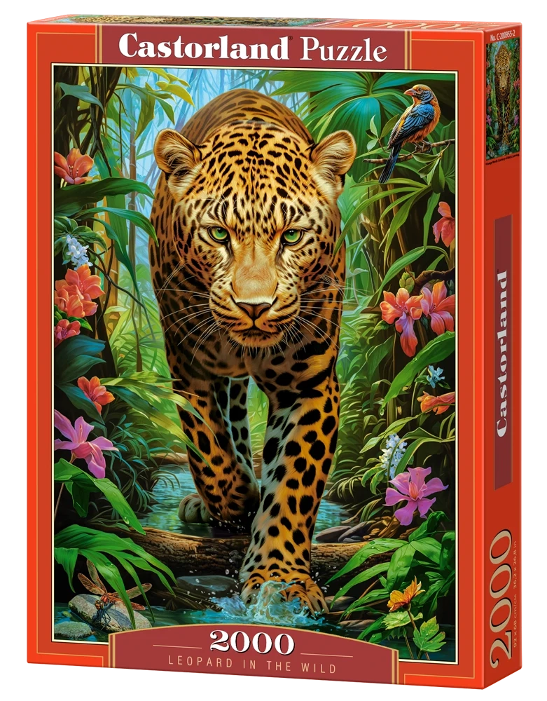 Leopard in the Wild 2000 Piece Puzzle Box