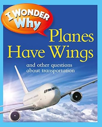 I Wonder Why Planes Have Wings