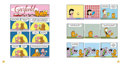 Garfield Donut Disturb