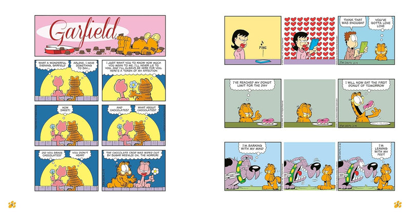 Garfield Donut Disturb