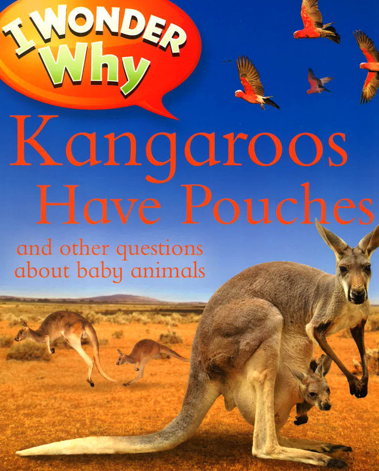 I Wonder Why Kangaroos Have Pouches