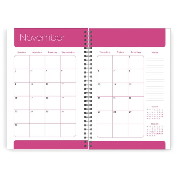 Daily Planner 2025 Live in Wonder