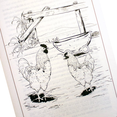 Complete Grimm's Fairy Tales