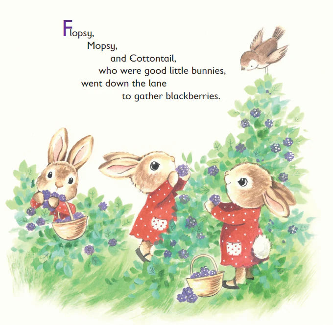 The Tale Of Peter Rabbit | Readers Warehouse