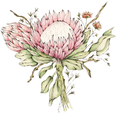 Bookmark Magnetic Long King Protea