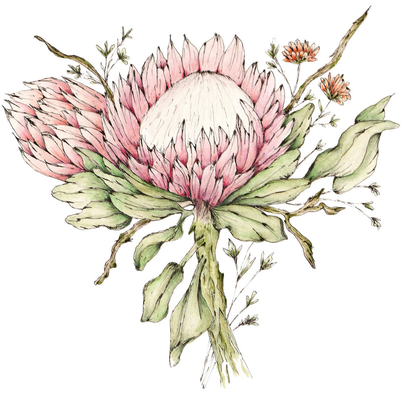 Bookmark Magnetic Long King Protea