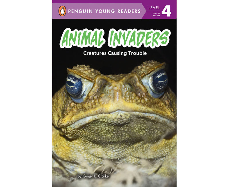 Animal Invaders