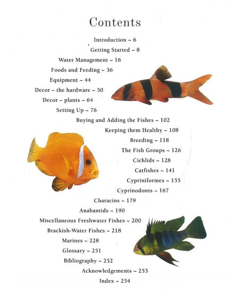 Colorful Fish Tank Fish Types Colorful Fish Common Tropical