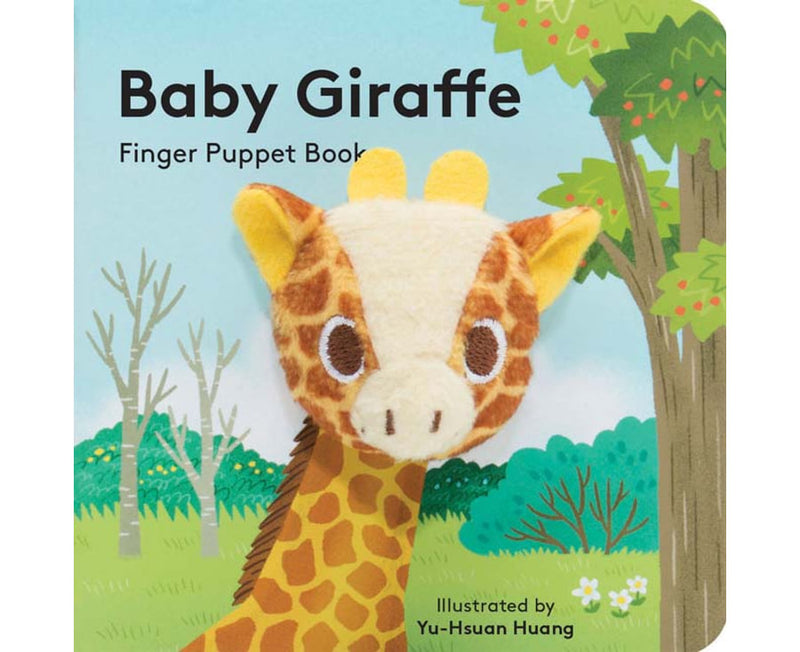 Baby Giraffe