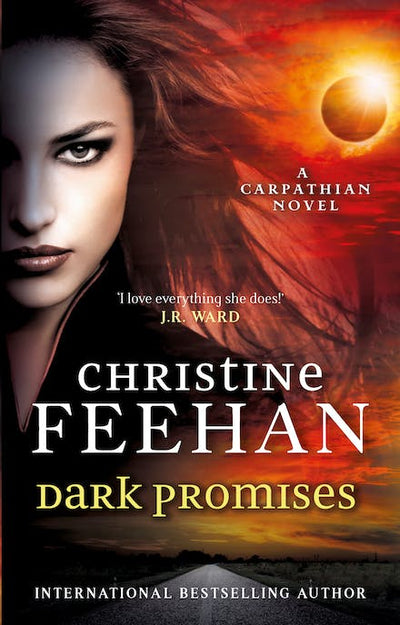 Dark Promises Book 29 - Readers Warehouse