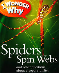 I Wonder Why Spiders Spin Webs