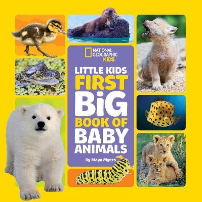 Little Kids First Big Book Of Baby Animals - Readers Warehouse