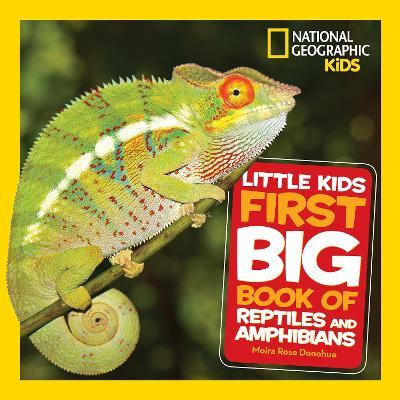 Little Kids First Big Book Of Reptiles And Amphibians - Readers Warehouse