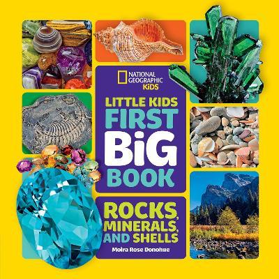 Little Kids First Big Book Of Rocks, Minerals And Shells - Readers Warehouse