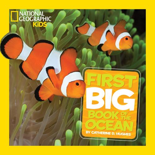 Little Kids First Big Book of The Ocean - Readers Warehouse