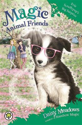Magic Animal Friends - Evie Scruffypup's Big Surprise - Readers Warehouse
