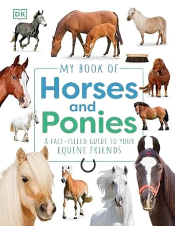 My Book of Horses and Ponies - Readers Warehouse