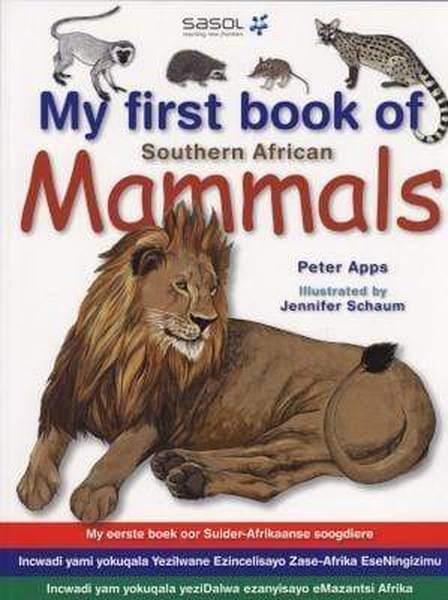 洋書 Southern, Central and East African Mamma My First Book - Sa Mammals | Readers Warehouse