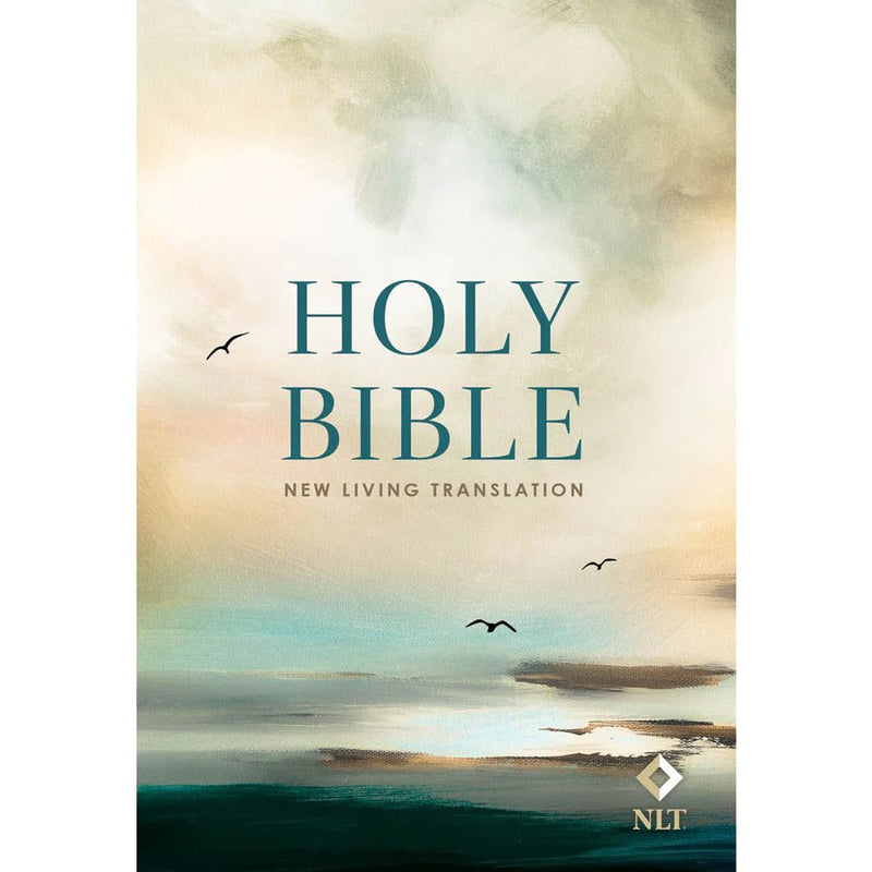 NLT Morning Sky Paperback Handy Size Bible - Readers Warehouse