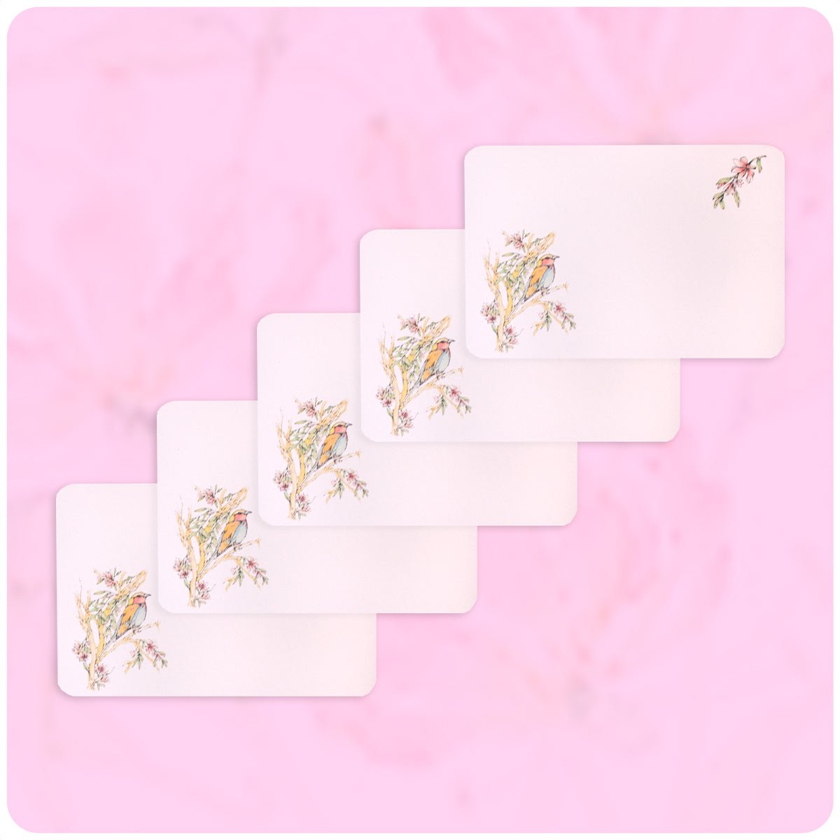 African Note Cards African Roller Note Cards & Envelope Pack | Readers Warehouse