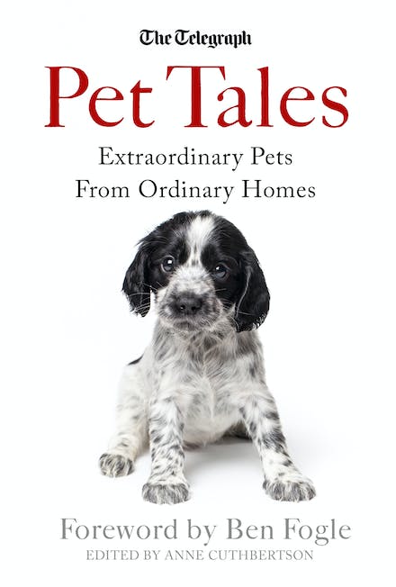 Pet Tales: Extraordinary Pets From Ordinary Homes - Readers Warehouse