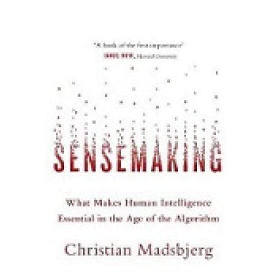 Sensemaking - Readers Warehouse