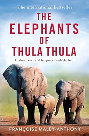 The Elephants of Thula Thula - Readers Warehouse