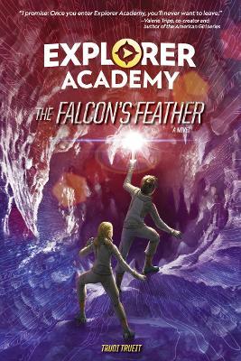 The Falcon's Feather - Readers Warehouse