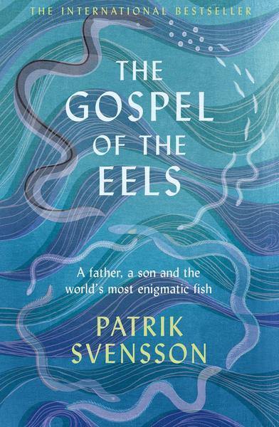 The Gospel Of The Eels - Readers Warehouse
