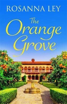 The Orange Grove - Readers Warehouse