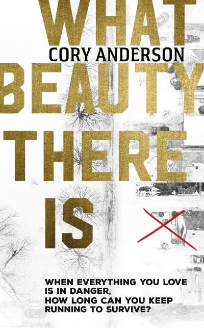 What Beauty There Is - Readers Warehouse