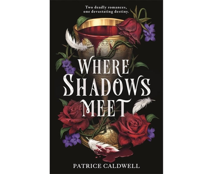 Where Shadows Meet