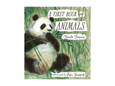A First Book Of Animals - Readers Warehouse