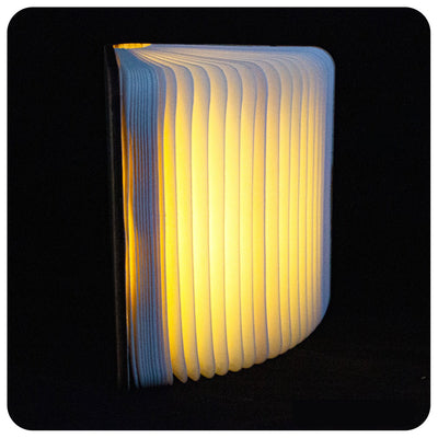 Authentic Wooden Book Lamp - Maple White - Readers Warehouse