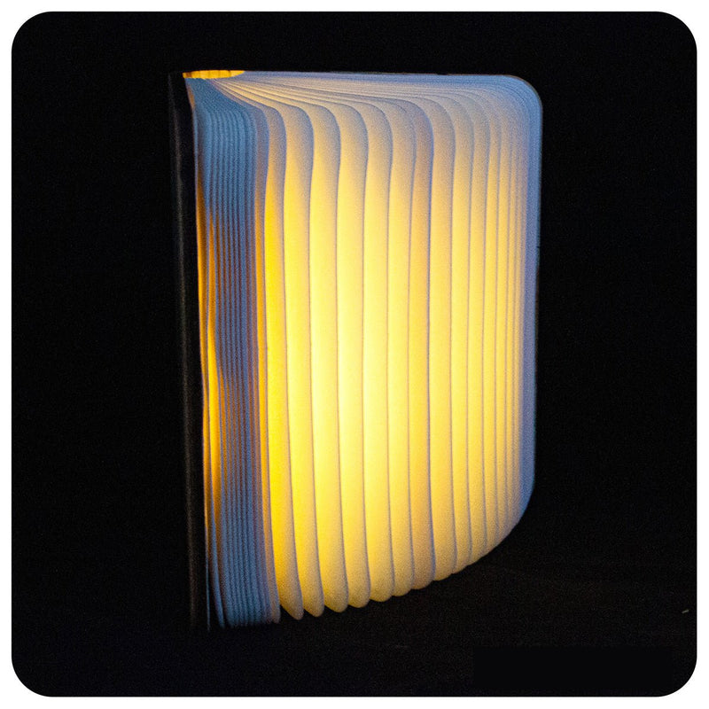 Authentic Wooden Book Lamp - Vermilion - Readers Warehouse