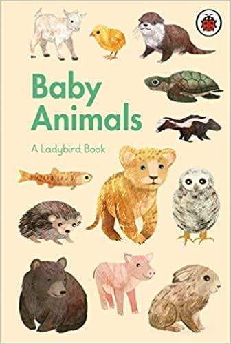 Baby Animals - Readers Warehouse
