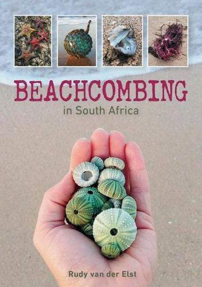 Beachcombing in South Africa - Readers Warehouse