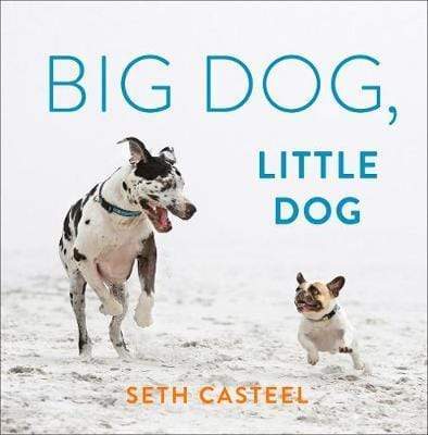 Big Dog, Little Dog - Readers Warehouse
