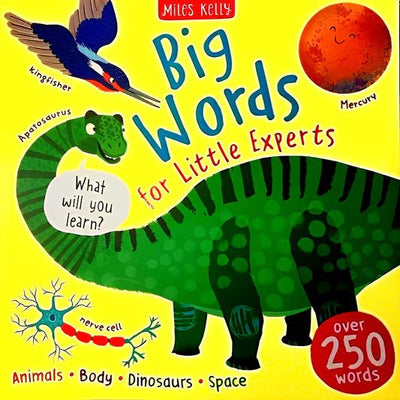Big Words for Little Experts - Readers Warehouse