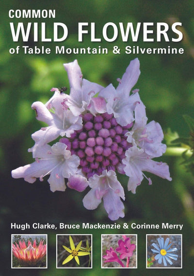 Common Wild Flowers Of Table Mountain and Silvermine - Readers Warehouse