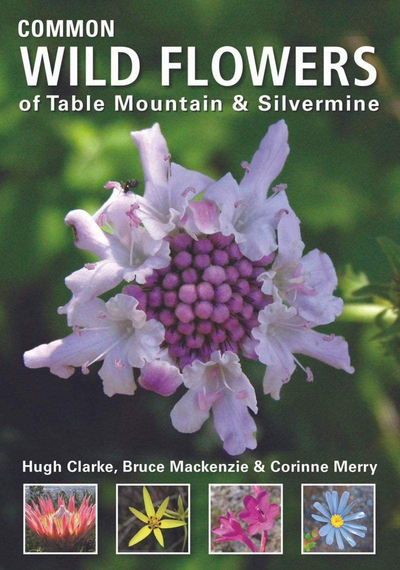 Common Wild Flowers Of Table Mountain and Silvermine - Readers Warehouse