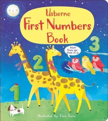 First Numbers Book - Readers Warehouse
