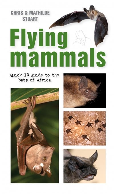 Flying Mammals - Readers Warehouse