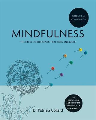Godsfiled Companion - Mindfulness - Readers Warehouse