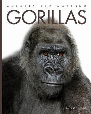 Gorillas - Readers Warehouse