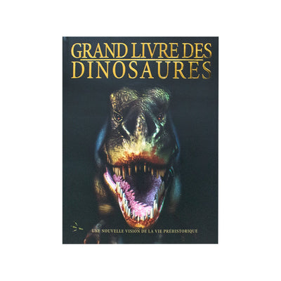Grand Livre Des Dinosaures (French) - Readers Warehouse
